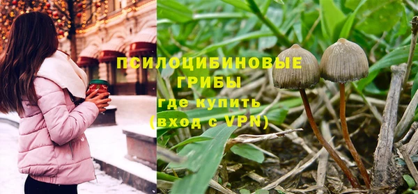 мескалин Богородицк