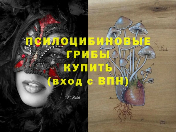 мескалин Богородицк