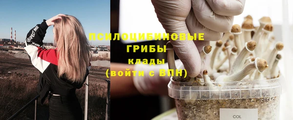 мескалин Богородицк