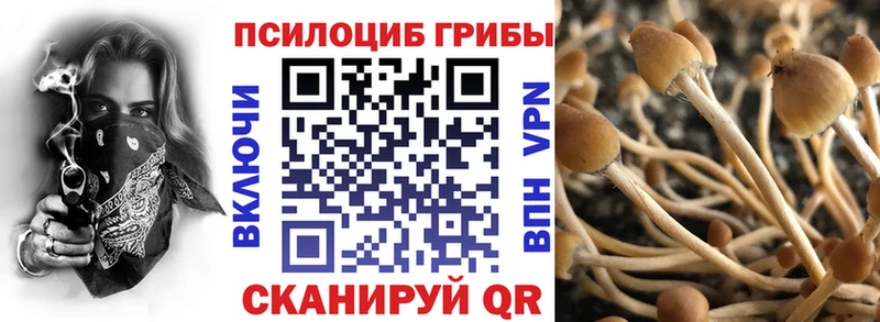 Купить закладки  Ейск  Галлюциногенные грибы Psilocybe 